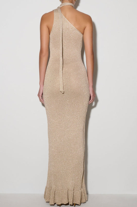 Floral Applique Metallic Knit Maxi Dress
