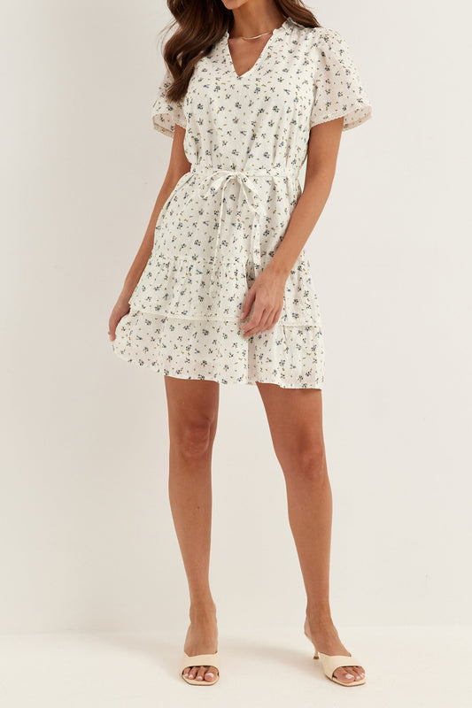 Floral V-Neck Tie Waist Mini Dress