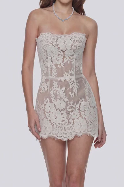 Strapless Floral Lace Corset Mini Dress
